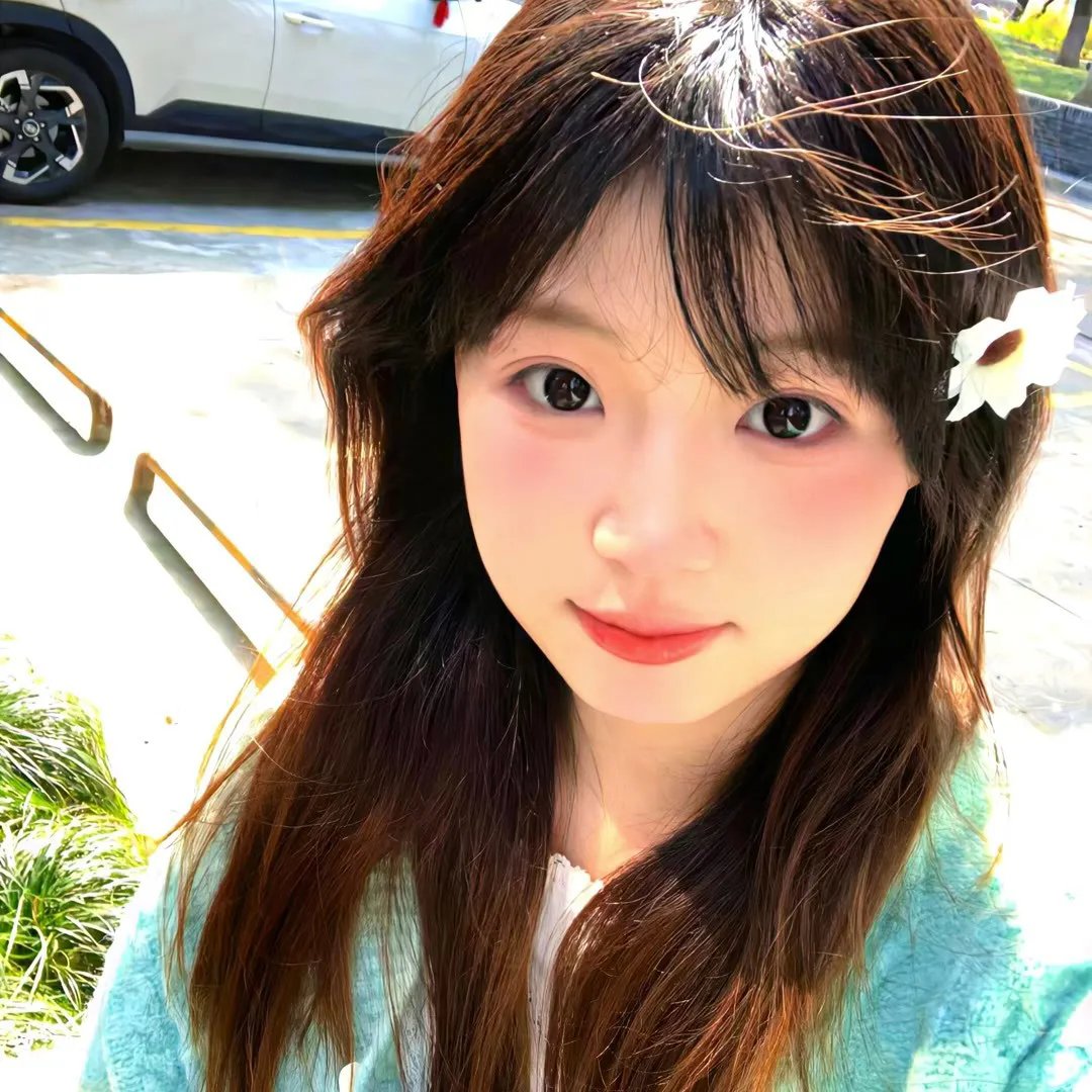 杜鹃花飞