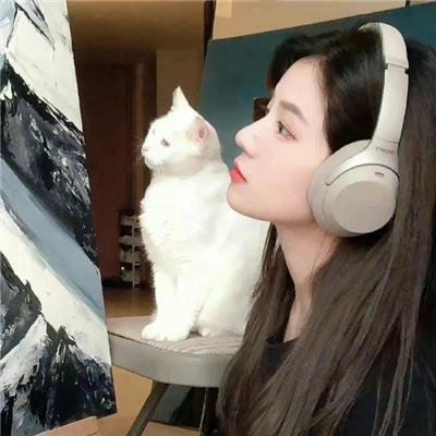 白头盔